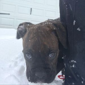 Meet your Posher, Lee